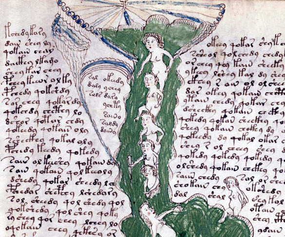 voynich-manuscript-1.jpg